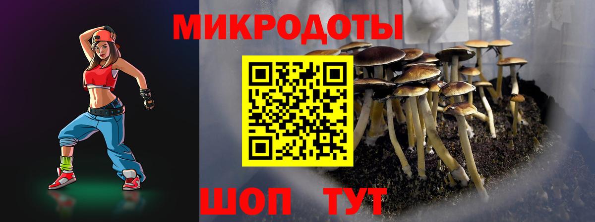 Псилоцибиновые грибы Psilocybine cubensis  Вход с VPN  Галлюциногенные грибы GOLDEN TEACHER  Димитровград 